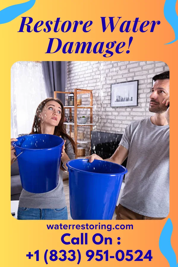 water restoration Trusted Water Cleanup Authority Elwood