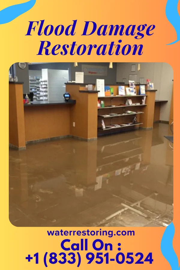 Flood Damage Restoration in Elwood, IN