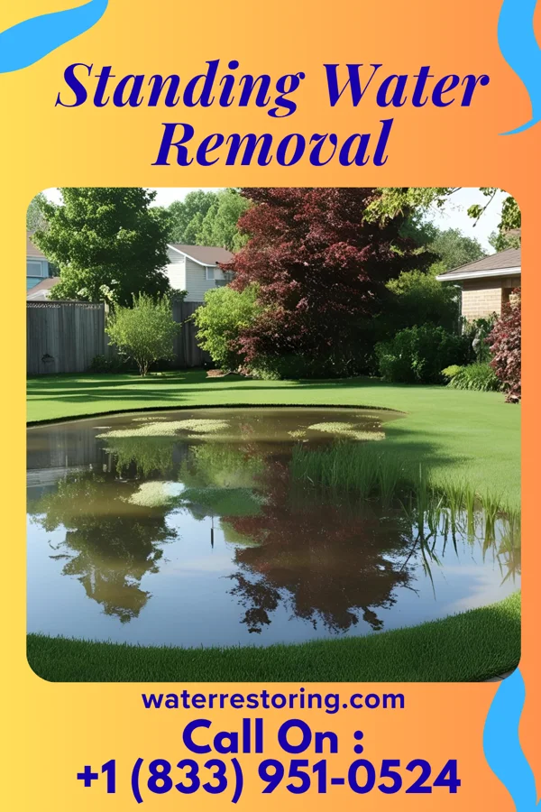 Standing Water Removal in Elwood, IN